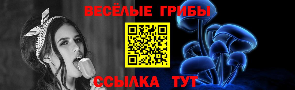Элиста  Галлюциногенные грибы ЛСД  Вход с VPN 