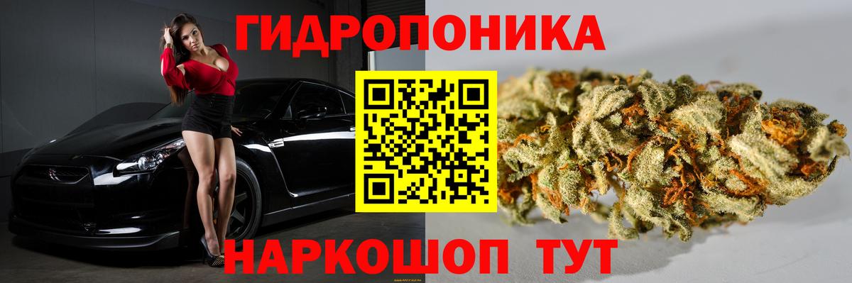 Элиста  Бошки марихуана гибрид  Вход с VPN  Марихуана Amnesia  Канабис LSD WEED 